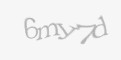 Защитный код